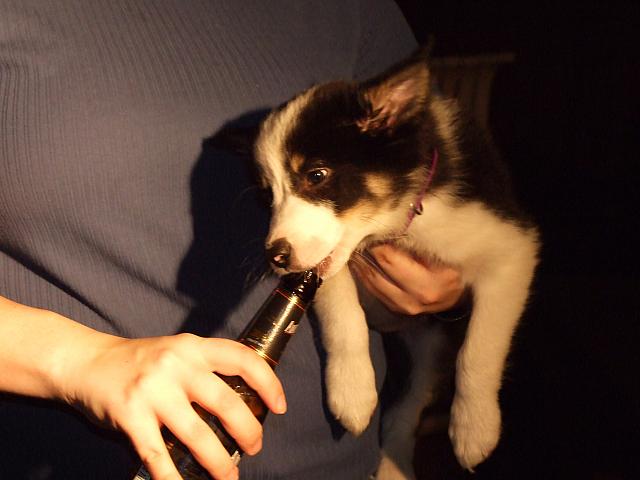 DSCF3154.jpg