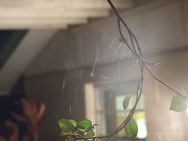 DSCF3158.jpg