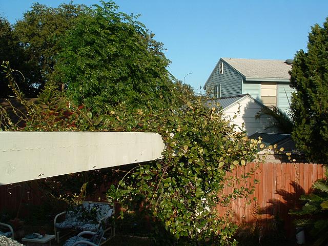 06112523.JPG