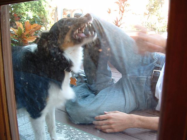 DSCF0009.JPG