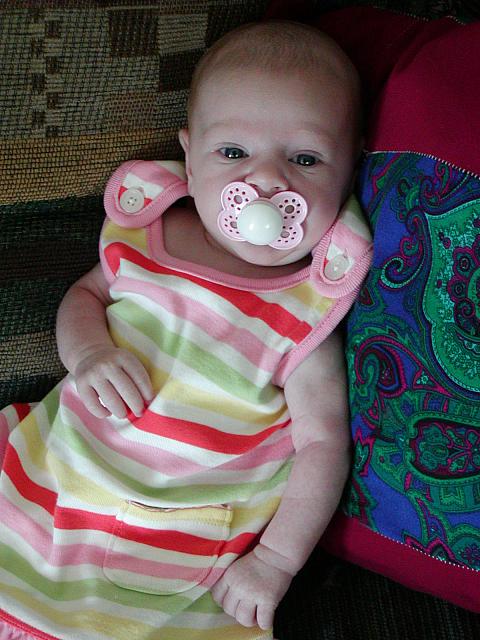 6-13-04 022.jpg