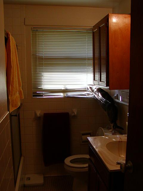 6-13-04 035.jpg