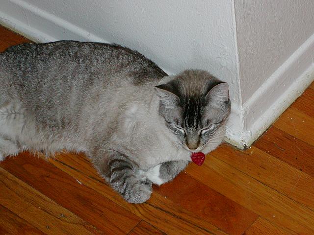 6-13-04 079.jpg