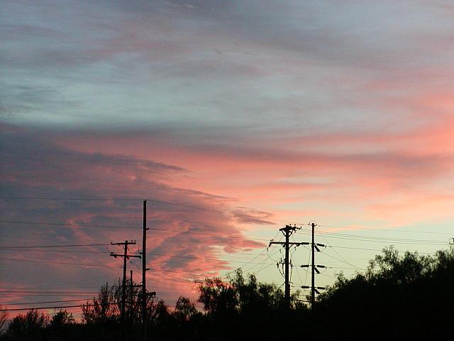 Picture 364.jpg
