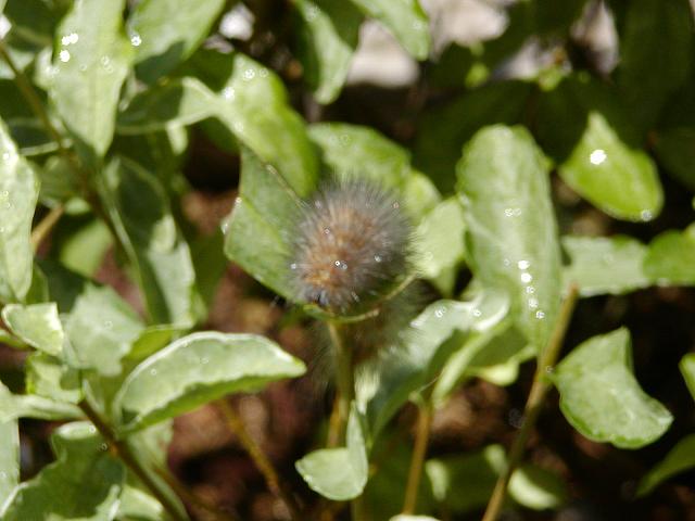 6-11-04 003.jpg