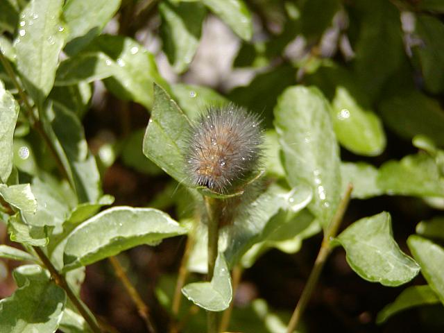6-11-04 004.jpg