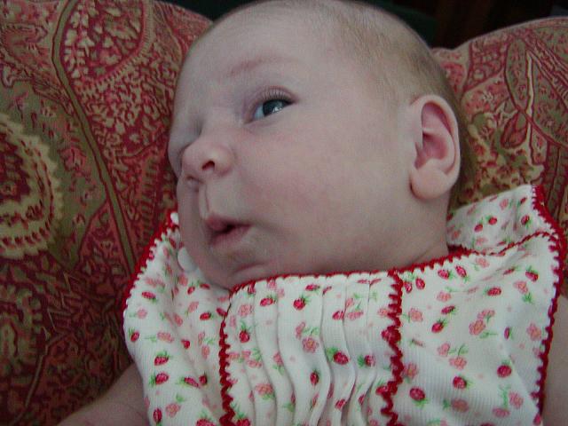 6-11-04 015.jpg