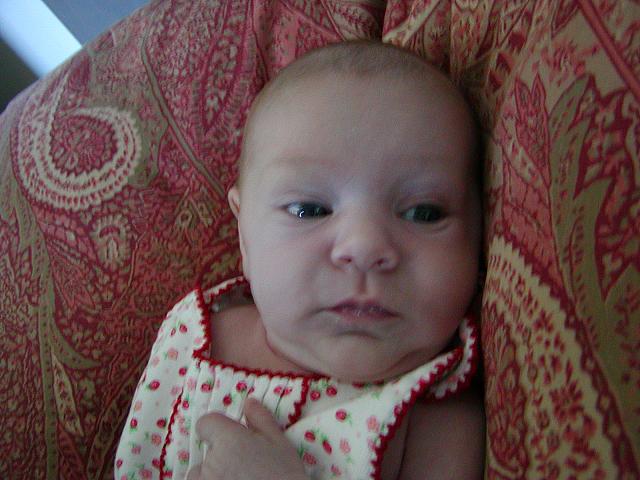 6-11-04 030.jpg