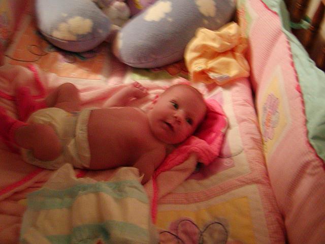 6-11-04 045.jpg