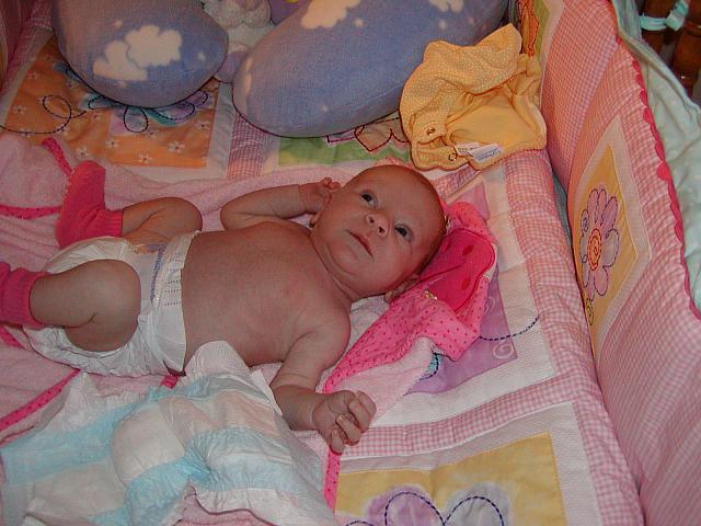 6-11-04 046.jpg