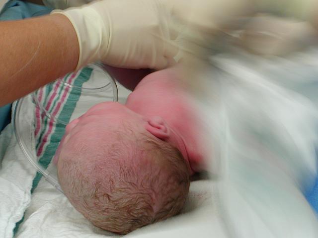 Chloe 015.jpg