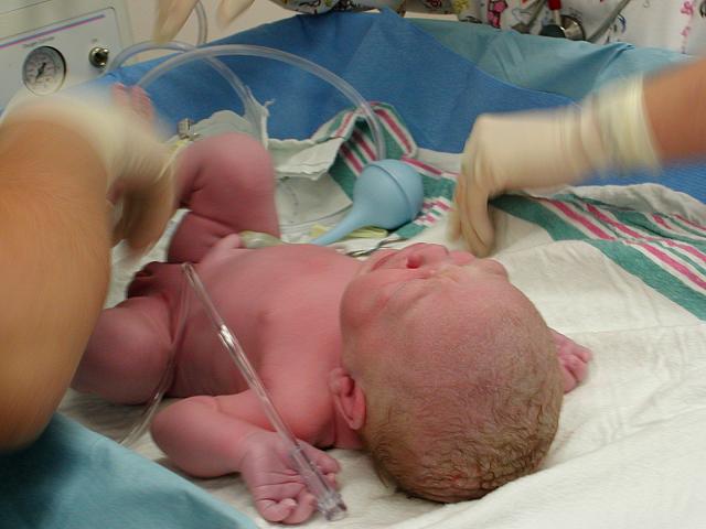 Chloe 016.jpg