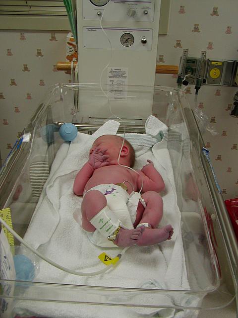 Chloe 028.jpg