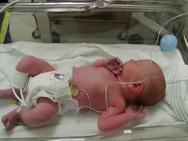 Chloe 029.jpg
