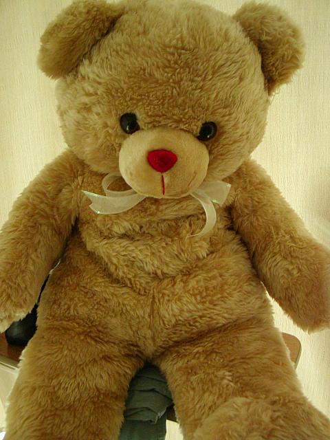 Teddy