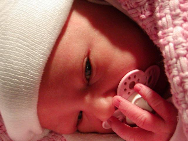 Chloe 010.jpg