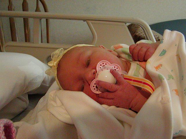 Chloe 011.jpg