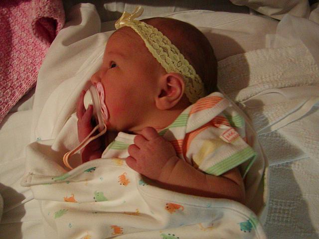 Chloe 014.jpg