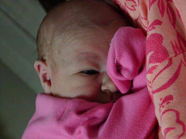 Chloe 027.jpg