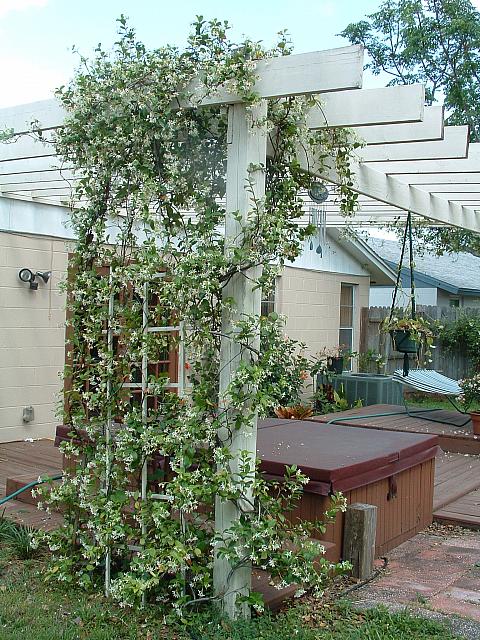 DSCF0016.JPG