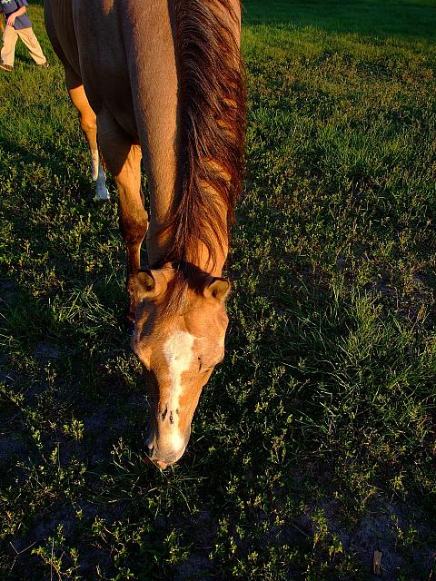 0809060041.JPG