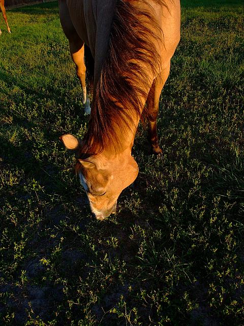 0809060042.JPG