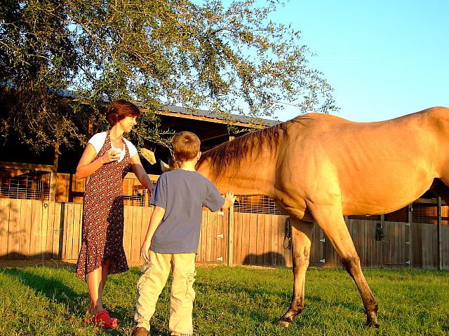 0809060051.JPG