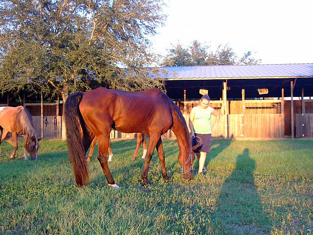 0809060064.JPG