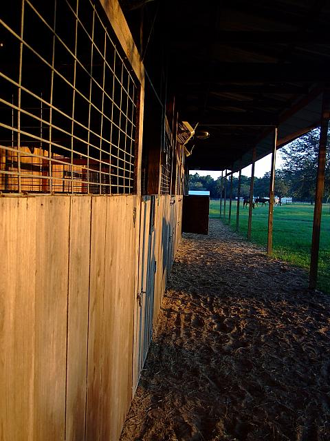 0809060070.JPG