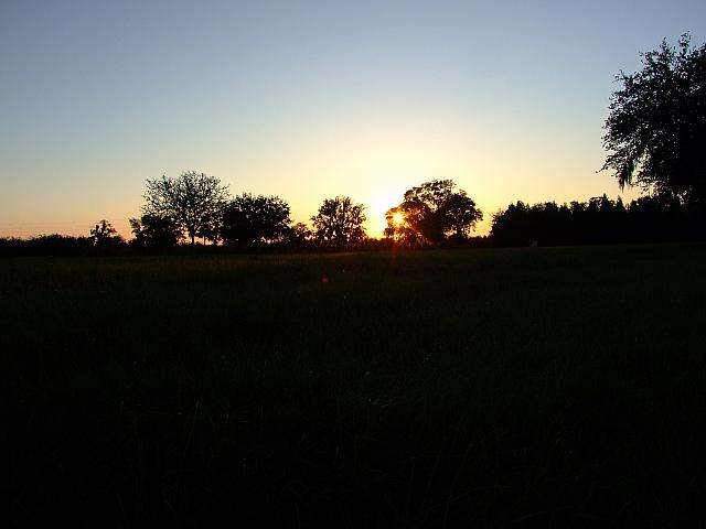 0809060074.JPG