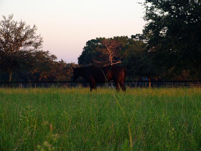 0809060076.JPG