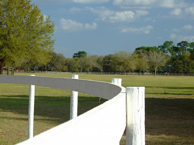 0903140045.JPG