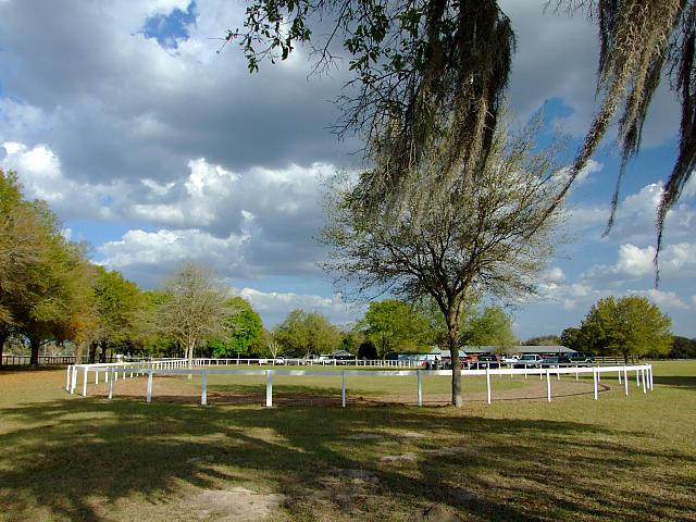 0903140048.JPG