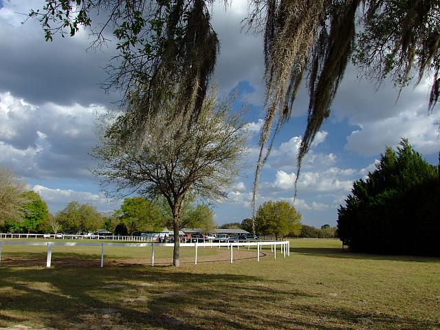 0903140049.JPG
