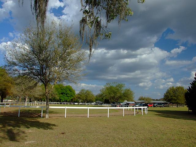 0903140050.JPG