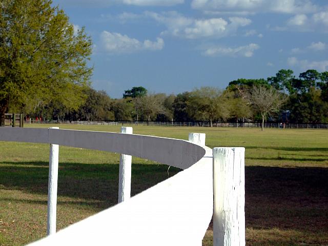 ring_edge.jpg