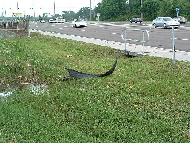 DSCF0074.JPG