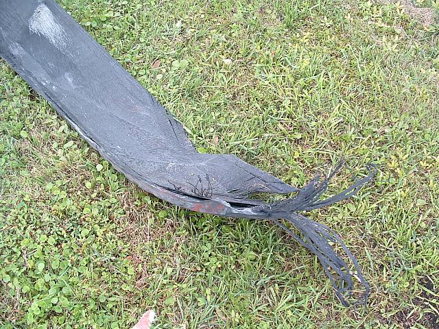 DSCF0077.JPG
