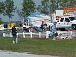 DSCF0039.JPG