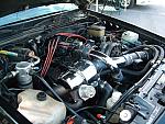 tr4-0026.JPG