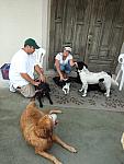 0707040010.JPG
