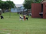 0707040016.JPG