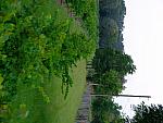 0707040028.JPG