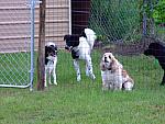 0707040031.JPG