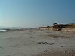 DSCF0012.JPG
