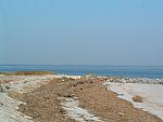 DSCF0021.JPG
