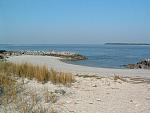 DSCF0025.JPG