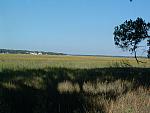 DSCF0100.JPG