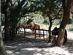 DSCF0136.JPG