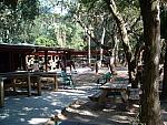 DSCF0137.JPG